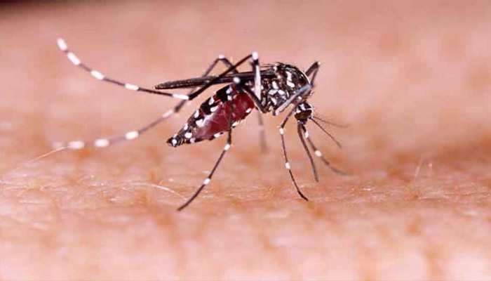 दिल्ली में डेंगू का प्रकोप, 2022 में आए मामलों ने तोड़ा पिछले 4 वर्षों का रिकॉर्ड
