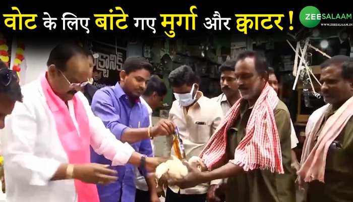 Cock and Alcohol Distributed For Vote: वोट के लिए बांटे गए मुर्गा और क्वाटर! 