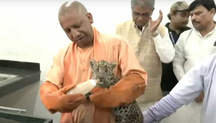 CM Yogi ने तेंदुए के बच्चे को पिलाया दूध, इस Video में दिखा मुख्यमंत्री का पशु प्रेम