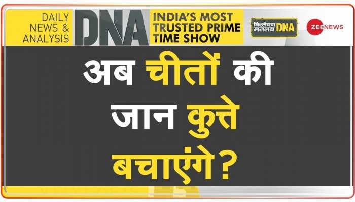 DNA: चीतों की सुरक्षा में तैनात होंगे 'कमांडो कुत्ते'