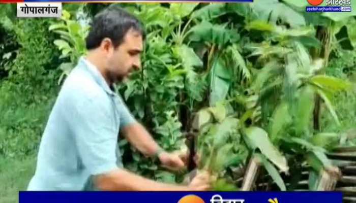 अपने गांव पहुंचे अभिनेता Pankaj Tripathi