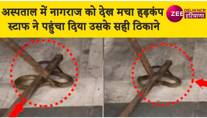 Watch Video : गाजियाबाद के अस्पताल पहुंचा सांप फिर अफरातफरी के बीच संजीव-सलीम ने उठाया एक कदम