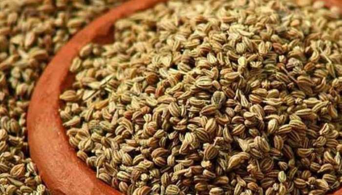 celery benefits very beneficial celery healthy body ajwain ke fyade pate ki  kabhar mpap | पते की खबर: इस तरह करें अजवाइन का इस्तेमाल, मिलते हैं इतने  फायदे | Hindi News, Madhya