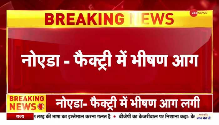 बिलासपुर- दुर्गा विसर्जन के दौरान दो गुटों में पथराव