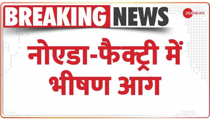नोएडा सेक्टर 3 की फैक्ट्री में आग लगी