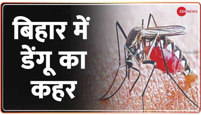 Bihar Dengue Cases : डेंगू के कहर से खराब हुए पटना के हालात