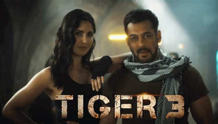 Salman Khan Katrina Kaif Most Awaited film Tiger 3 Release on Diwali 2023 Salman Big Announcement | Tiger 3 Release Date: 'टाइगर 3' का फैंस को करना होगा लंबा इंतजार, सलमान खान