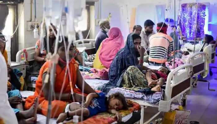 Dengue Fever: डेंगू के मरीज डाइट में इन चीजों को करें शामिल, जल्दी हो जाएंगे ठीक!