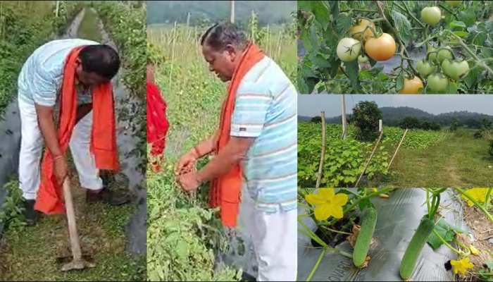 युवाओं के लिए मिसाल बने पूर्व गृहमंत्री, खेती में किया ऐसा कारनामा; आप कहेंगे वाह...