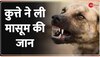 Madhya Pradesh: खरगोने में कुत्तों का मासूम पर हमला