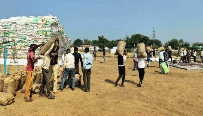 CG Paddy Purchased: छत्तीसगढ़ में बढ़ा धान का रकबा, इस बार धान खरीदी का बनेगा रिकॉर्ड