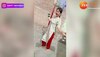 Haryanvi Chhori Ka Dance Video:हरियाणवी छोरी ने सपना चौधरी का वायरल सॉन्ग पर किया धांसू डांस, डांस की आप भी करेंगे तारीफ