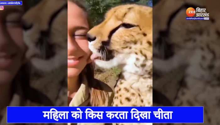 Viral Video: खूंखार चीते ने महिला को किया किस, वीडियो देख हैरान हो जाएंगे आप 