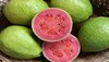 Benefits Of Guava: सर्दियों में अमरूद खाना बेहद फायदेमंद, ये 5 बीमारियों रहती है कोसों दूर 