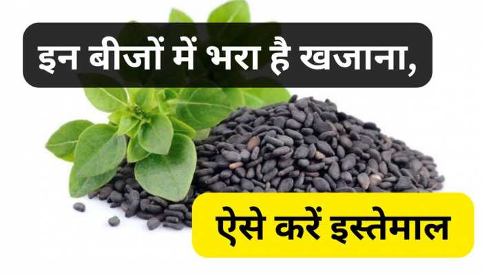 basil seeds benefits in hindi immunity weight loss obesity stress