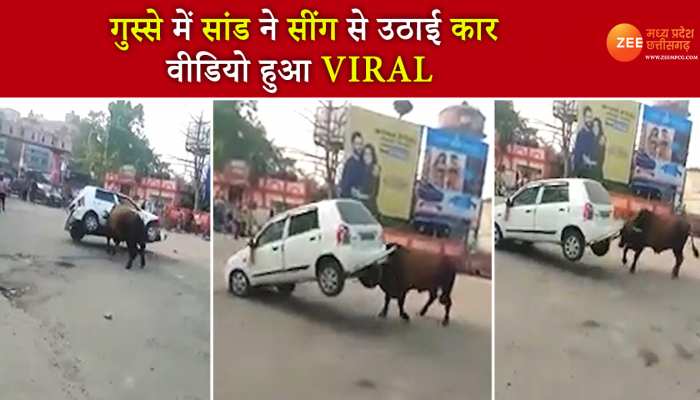 गुस्से में सांड ने सींग से उठाई कार, वीडियो हुआ VIRAL