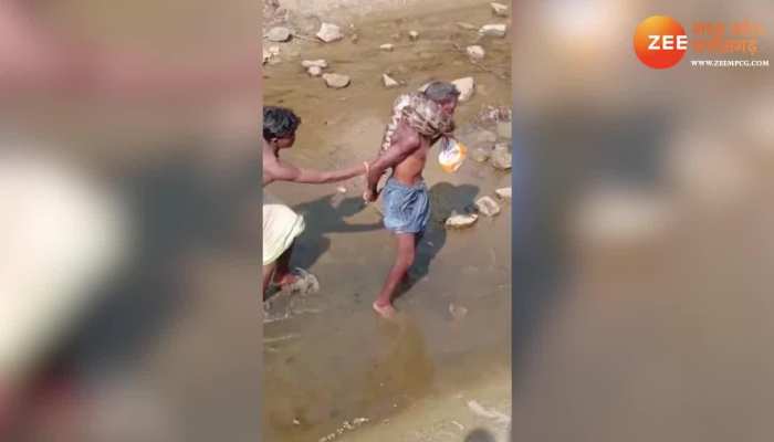 Viral Video: बुजुर्ग के गले में माला की तरह लिपटा अजगर, देखिए फिर क्या हुआ