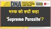 DNA: ट्विटर के नए मालिक के खिलाफ ट्वीट क्रांति