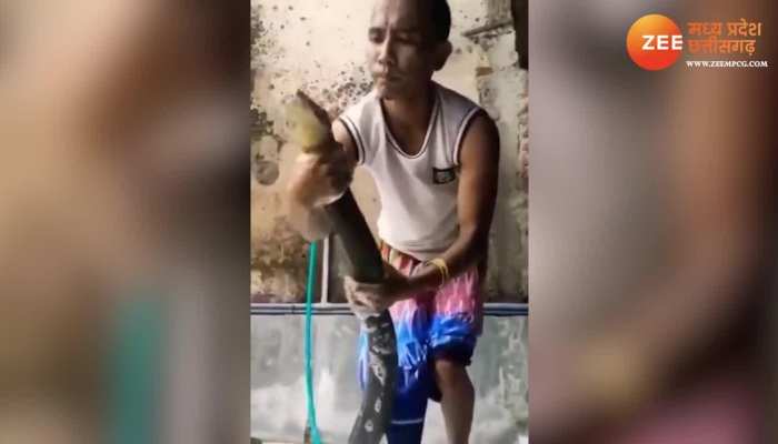 मालिश करने के बाद शख्स ने किंग कोबरा को पानी से नहलाया, देखिए खतरनाक VIDEO