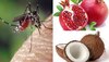 Dengue Recovery Fruits: डेंगू में हर दिन करें इन फलों का सेवन, जल्द होंगे रिकवर!