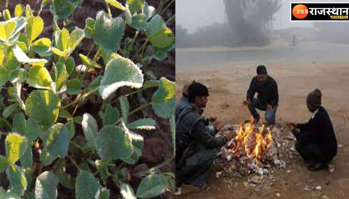 शेखावटी में गिरा पारा, दांत कटकाटने वाली ठंड दे रही दस्तक, जानें मौसम का पूरा अपडेट