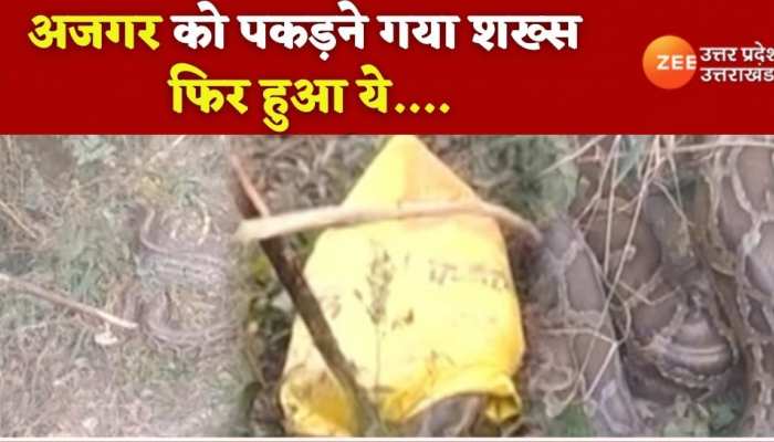 अजगर ने लड़के पर किया 3-3 अटैक... वीडियो देख कांप जाएगी रूह! WATCH VIDEO 