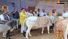 अहिंसा यात्रा के ओसियां पहुंचने पर स्वागत.
