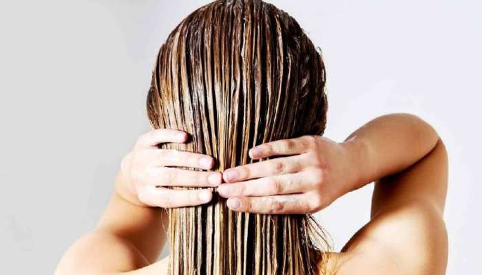 Hair Care Tips: बेजान बालों में जान डाल देगा ये हेयर मास्क, वापस आ जाएगी खोई हुई चमक
