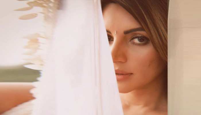 Shama Sikander: शमा सिकंदर ने जैसे ही हटाया पर्दा, तहलका मचा दिया