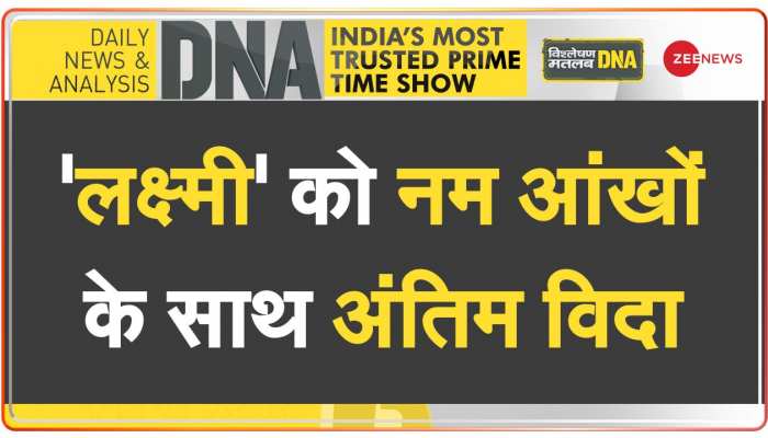 DNA: पुदुच्चेरी की सेलिब्रिटी हथिनी की अंतिम यात्रा