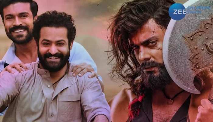 इस पाकिस्तानी पंजाबी भाषा की एक्शन ड्रामा फिल्म ने कमाई के मामलें में RRR और KGF-2 को छोड़ा पीछे!