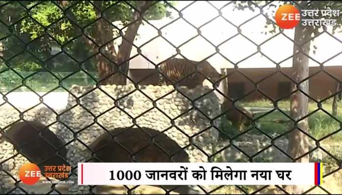 102 साल पुराना लखनऊ चिड़ियाघर हजरतगंज से हटाने की तैयारी, VIDEO
