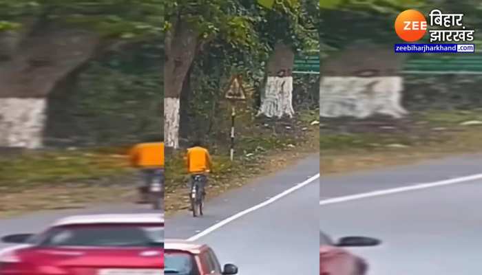 साइकिल सवार पर बाघ ने किया जानलेवा हमला, वीडियो हुआ वायरल