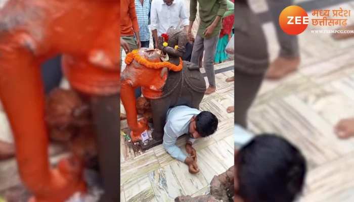 अमरकंटक में हाथी के नीचे फंस गया शख्स, फिर जो हुआ देखने लायक है