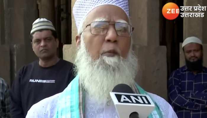 'मर्द नहीं बचे हैं क्या...' जामा मस्जिद के शाही इमाम के बयान ने चुनाव के बीच मचाया बवाल