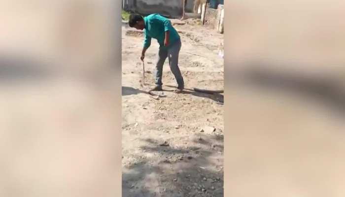 सांप के साथ लोगों ने दिखाए करतब, VIRAL हुआ वीडियो