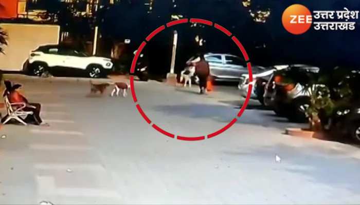 ग्रेटर नोएडा में कुत्तों का आतंक जारी, आवारा कुत्तों ने घेरकर राह चलते शख्स पर किया हमला