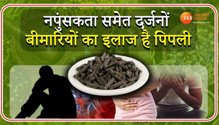नपुंसकता हो या फिर अस्थमा, पिपली का सेवन दे सकता है चौंकाने वाले फायदे