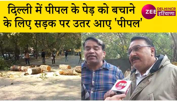 Watch Video: झंडेवालान में पीपल काटने के विरोध में उतरे लोग, रुकवाया काम