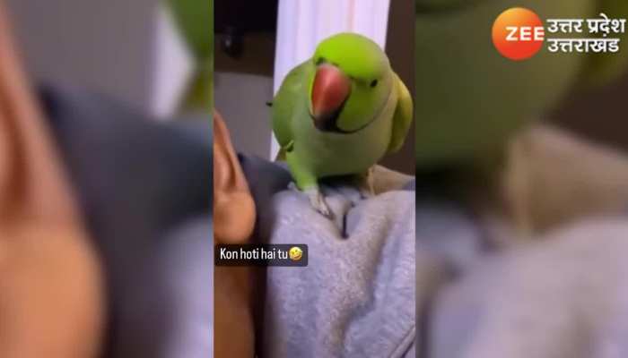 बोलता नहीं बल्कि डांटता है ये तोता, ना हो यकिन तो देख लो वीडियो WATCH