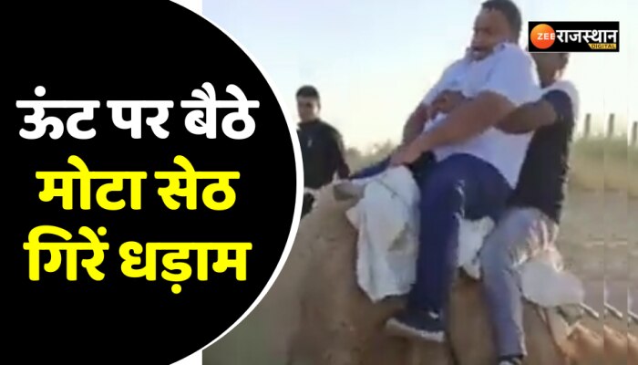 Viral Video: ऊंट पर चढ़कर बैठने के बाद दो शख्स गिरे धड़ाम, वीडियो देख हंसते-हंसते लोग लोट पोट