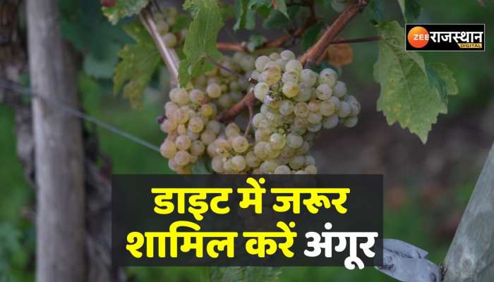 Health Tips: सर्दियों में फिट रहना चाहते हैं तो डाइट में जरूर शामिल करें अंगूर