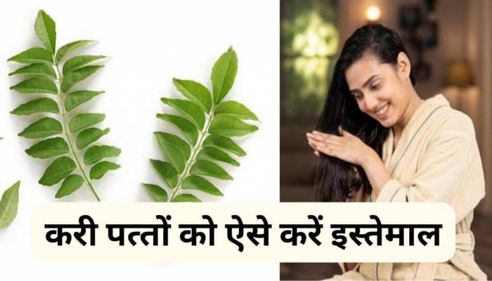 curry leaves benefits for hairfall hair care tips in hindi | Curry Leaves For Hair: करी के पत्ते से बालों की समस्या होती है खत्म, जान लीजिए इस्तेमाल का तरीका | Hindi News, curry leaves benefits for hairfall hair care tips in hindi | Curry Leaves For Hair: करी के पत्ते से बालों की समस्या होती है खत्म, जान लीजिए इस्तेमाल का तरीका | Hindi News,