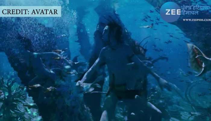 अवतार 2 का लंबा इंतजार खत्म, 16 दिसंबर को होगी रिलीज़, लंदन में हुई फिल्म की स्पेशल स्क्रीनिंग..