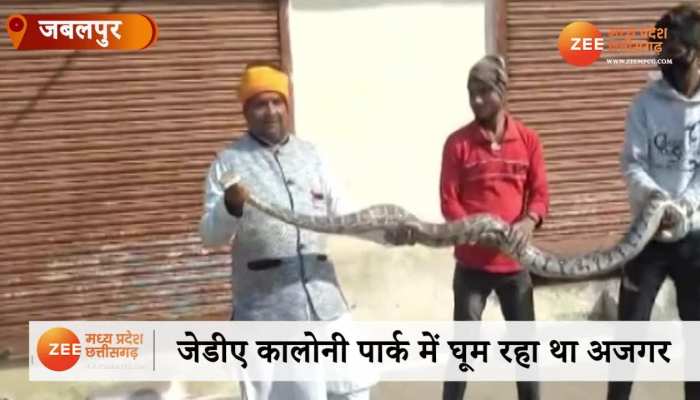 पार्क में मिला अजगर, इलाके में दहशत