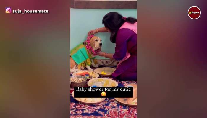 Dog Baby Shower: प्रेग्नेंट डॉगी की गोदभराई, खुशी में महिला ने दी शानदार दावत