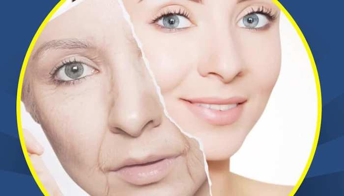 Anti-Aging Diet: आज ही डाइट में शामिल करें ये चीजें, Skin पर नहीं होगा एजिंग का असर