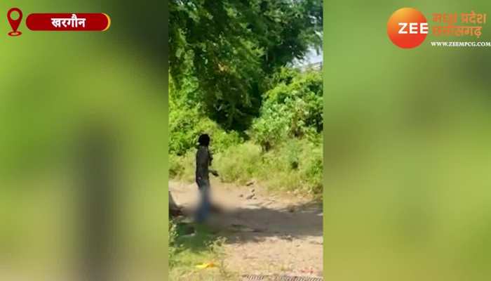 चार युवकों ने की कुत्ते की बेरहमी से हत्या,सोशल मीडिया पर VIDEO Viral