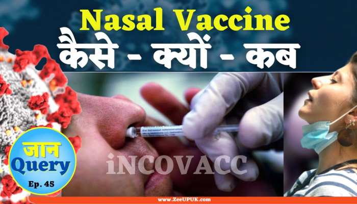 Nasal Vaccine: नाक से क्यों दी जाएगी वैक्सीन? कितनी है असरदार? कैसे करेगी काम? 