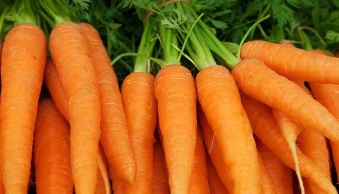 Benefits Of Carrot In Winter Eye Vision Diabetes Blood Sugar Insulin Heart  Attack Weight Loss | Carrot In Winter: सर्दियों में क्यों खाना चाहिए गाजर?  जानिए इसके जबरदस्त फायदे | Hindi News